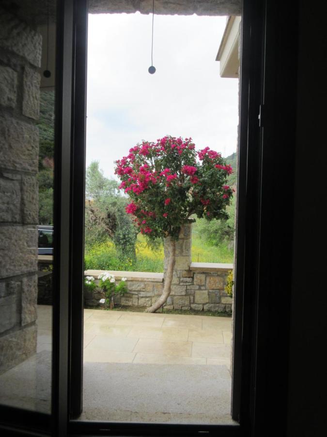 Paralia Sergoulas Seaside Retreat House 빌라 외부 사진
